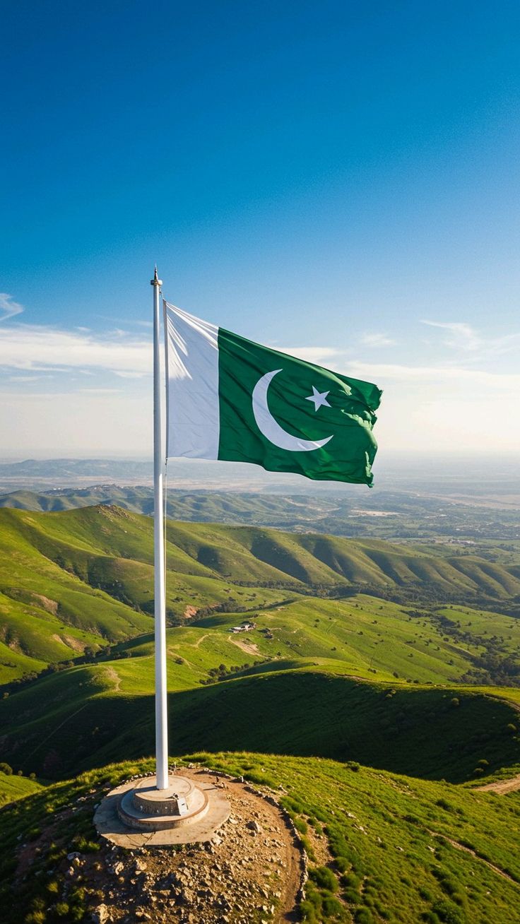 Pakistan Independence Day Mega Sale: Time to Flex with FLEXICO